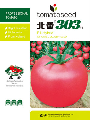 北番303F1-番茄种子