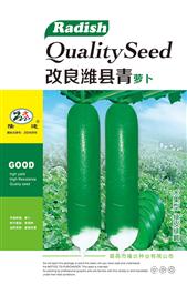 青萝卜