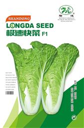 快菜种子