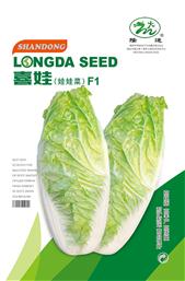 娃娃菜种子