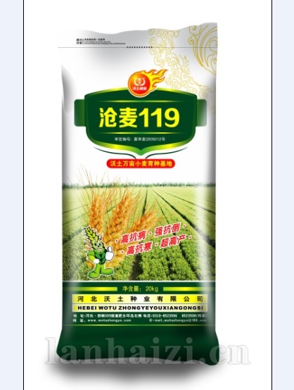 沧麦119