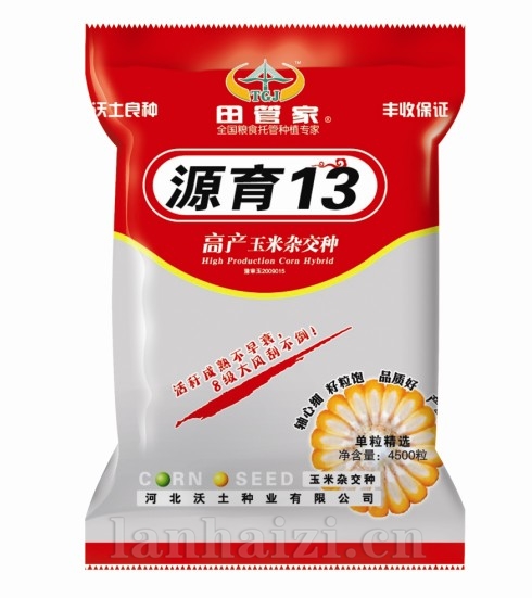 玉米高产新品种源玉13 河北沃土独家生产经营