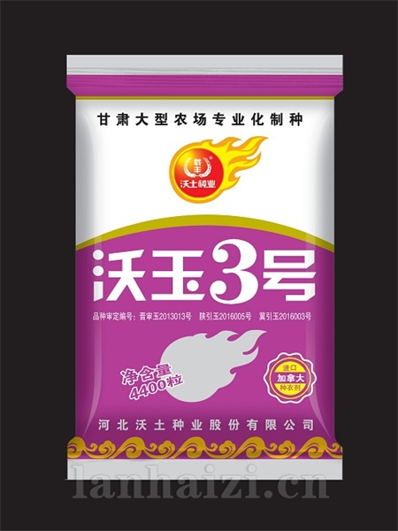 沃玉3号