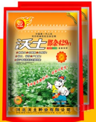邯杂429