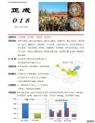 奥玉018-东华北