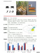 奥玉510-东华北
