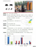 奥玉605
