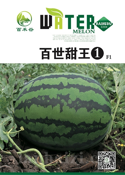 百世甜王1-西瓜种子