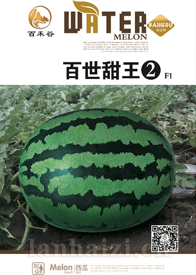 百世甜王 -西瓜种子