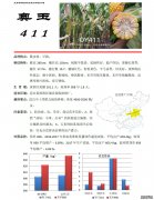 奥玉411