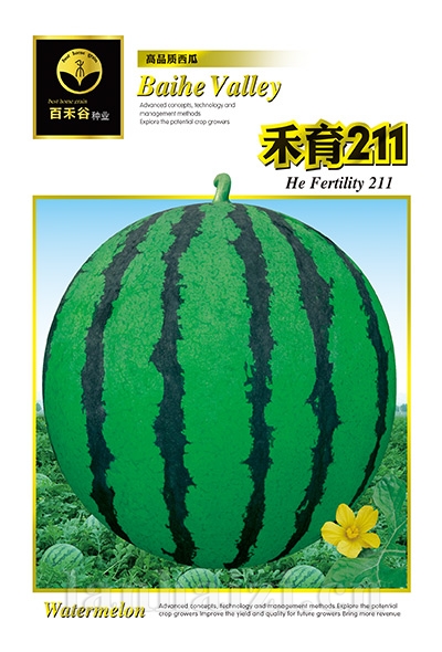 禾育211--西瓜种子