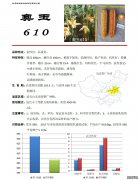 奥玉610