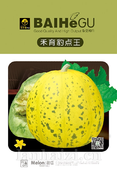 禾育豹点王-甜瓜种子