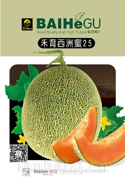 禾育西洲蜜25-甜瓜种子