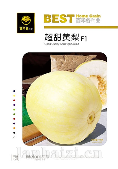 超甜黄梨-甜瓜种子