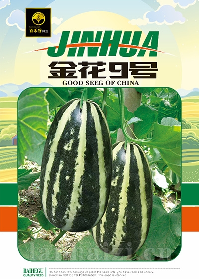 金花9号-甜瓜种子