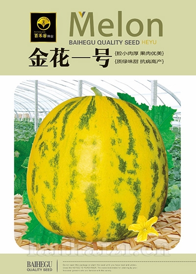 金花一号-甜瓜种子