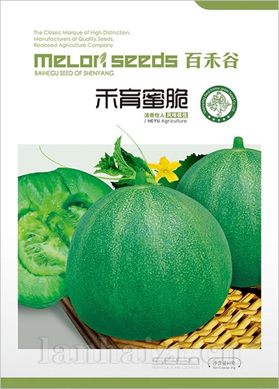 禾育蜜脆 -甜瓜种子