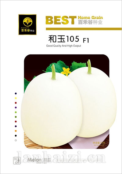 和玉105-甜瓜种子