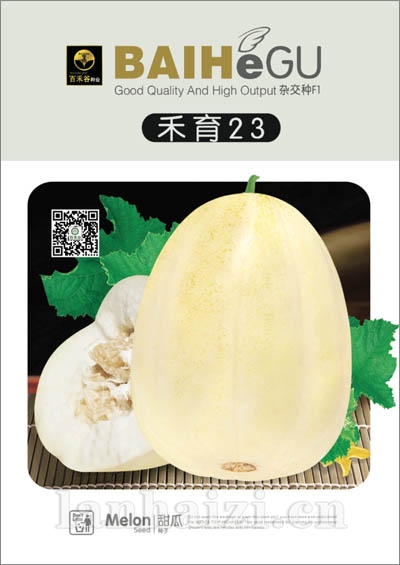 禾育23-甜瓜种子