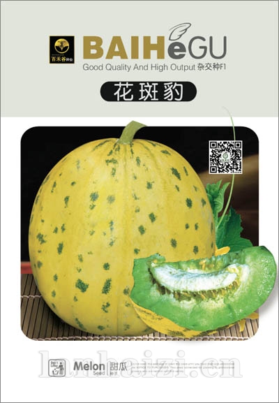 花斑豹-甜瓜种子