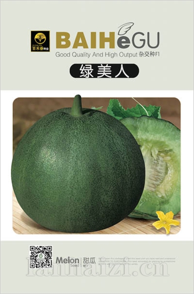 绿美人-甜瓜种子