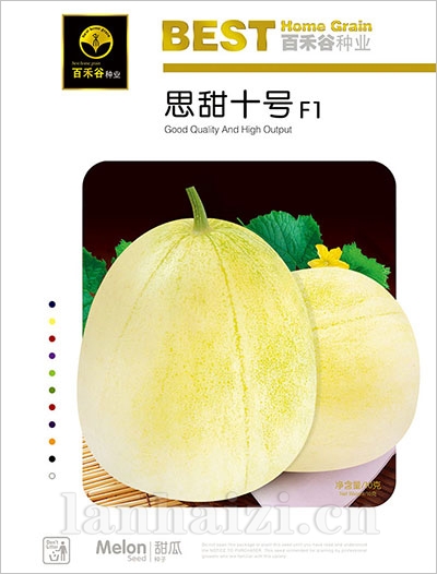 思甜十号-甜瓜种子