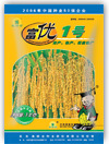 富优1号
