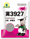 冀3927