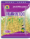 株两优100