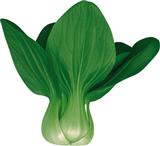 绿领——小白菜类