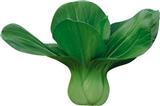 华美达——小白菜类