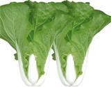 速腾1234——快菜类