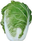 绿领夏阳50——白菜类