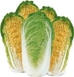 金冠——白菜类