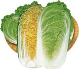 CR金娃娃——白菜类
