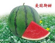 爱因斯甜
