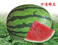 万清锦王