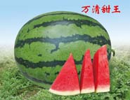 万清甜王