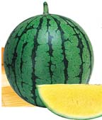 大 凤