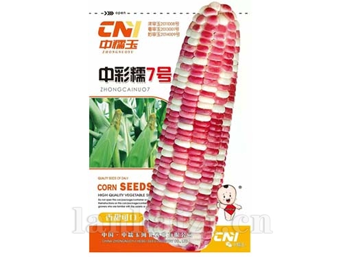 中彩糯7号