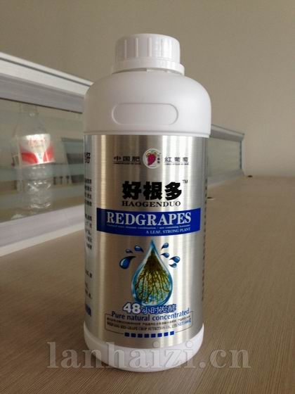 好根多