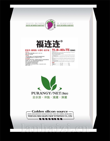 福连连11-8-40