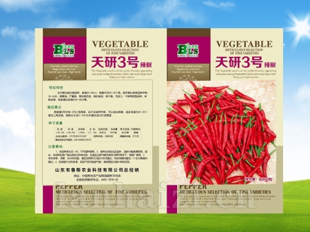 天研3号辣椒