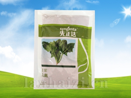 凡高菠菜