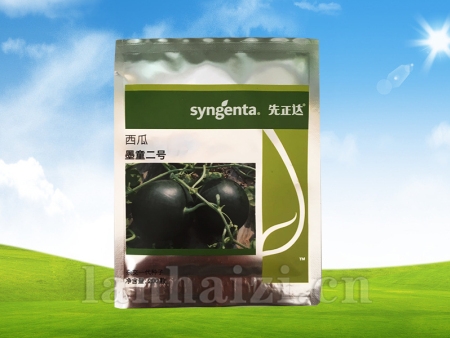 墨童二号西瓜