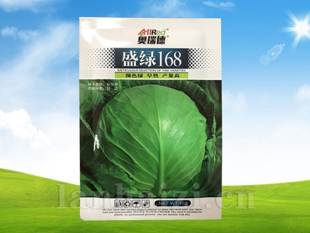 盛绿168