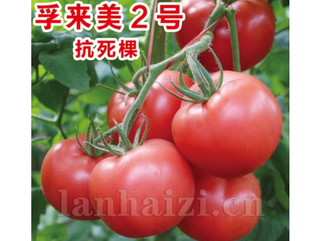 孚来美2号