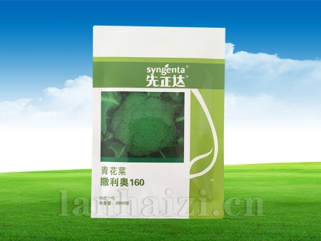 撒利奥160