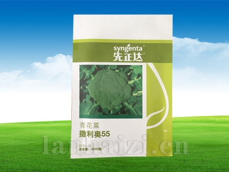 撒利奥55